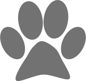Icon Miau Bringsel Katze